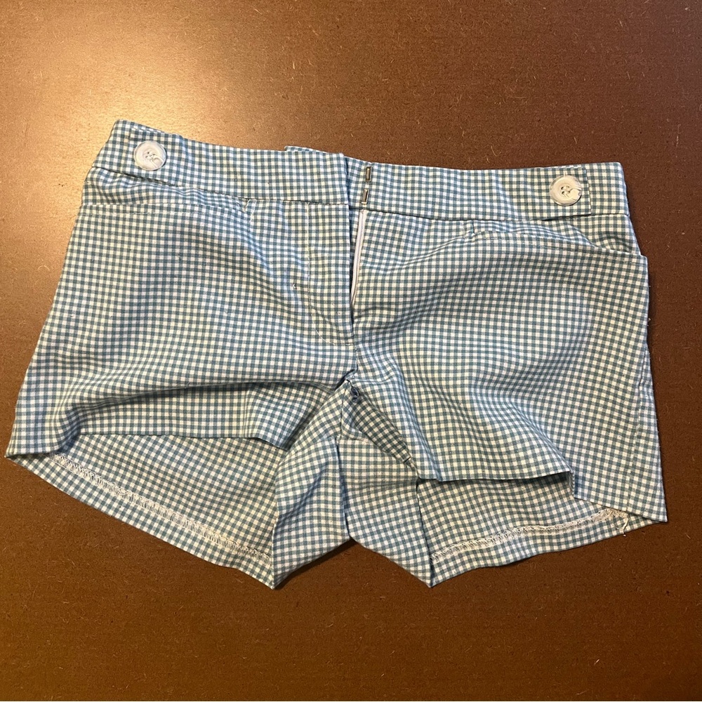 Pins & Needles (Urban Outfitters) Brand Sky Blue Gingham Shorts